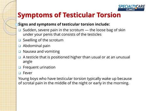 PPT - Testicular Torsion - Symptoms, Causes, and Treatment PowerPoint ...