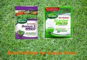 Best Fertilizer For Zoysia Grass Reviews 2021 | Easygearlife