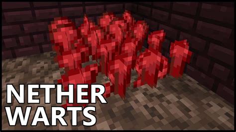 Minecraft Nether Wart: How To Grow Nether Wart In Minecraft?