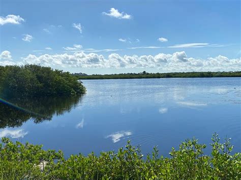 Merritt Island National Wildlife Refuge - 2020 All You Need to Know BEFORE You Go (with Photos ...