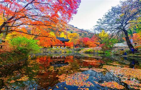 Korea Nature Wallpapers - 4k, HD Korea Nature Backgrounds on WallpaperBat