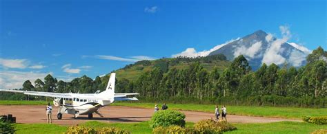 Bwindi National Park Location: How to Get There