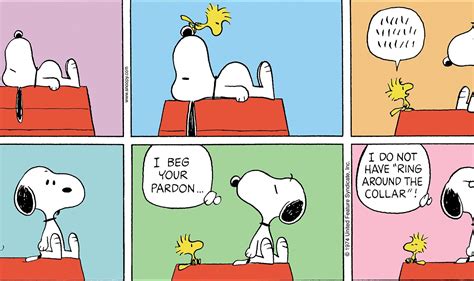 Pin by Brandon McClain on Snoopy comics | Comics, Snoopy comics, Kids ...