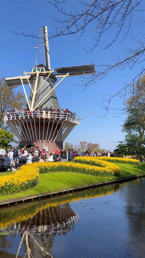 Keukenhof Tulip Gardens - Holland, The Netherlands | Cathedrals & Cafes ...