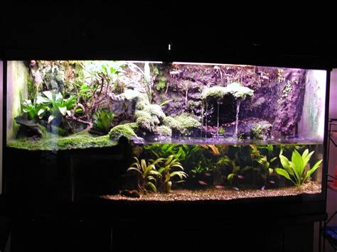 Paludarium Construction Photo Journal - Page 2 | Fresh water fish tank, Aquascape aquarium ...