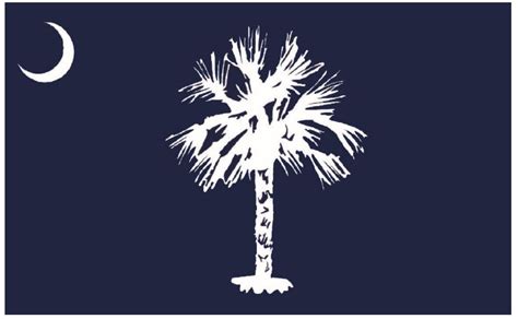 South Carolina historians settle on a new state flag design | Columbia ...