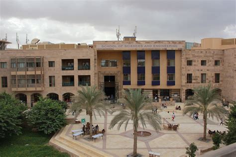 The American University in Cairo