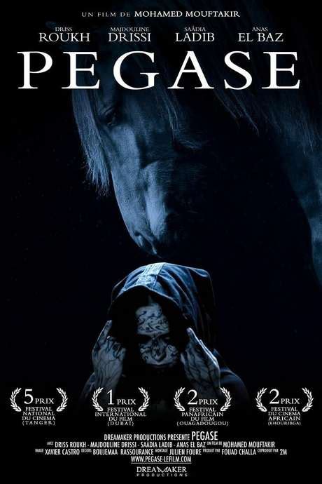 ‎Pegasus (2010) directed by Mohamed Mouftakir • Reviews, film + cast ...