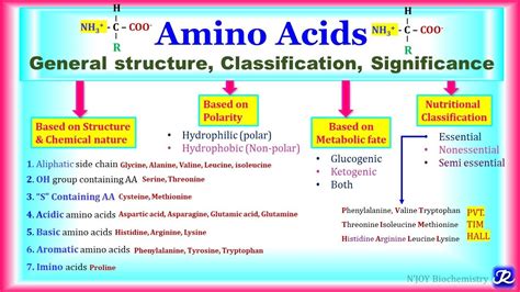 Amino Acids Classification