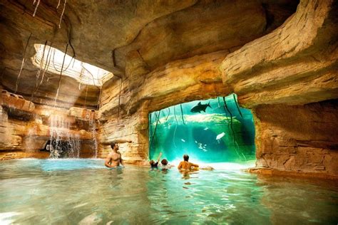 The Royal at Atlantis, Autograph Collection Cenote Cave #comfortable, #holiday, #Relax ...