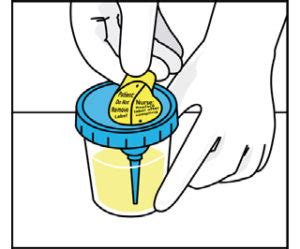 Urine Specimen Collection Instructions | Cleveland Clinic Laboratories