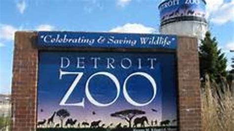 Detroit Zoo increases admission & membership prices