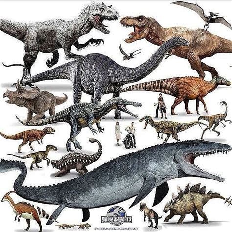 Jurassic World Dinosaurs | Jurassic world dinosaurs, Dinosaur pictures ...