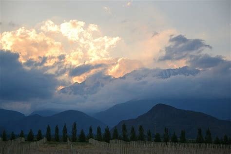 Malbec Wine From Around The World | Different Regions & Producers