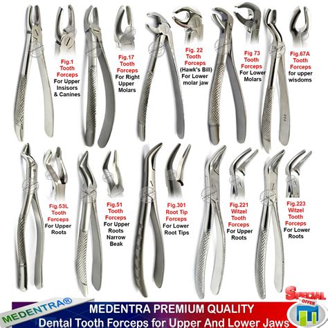 Dental Tooth Forceps Surgical Extraction Forceps for Upper Lower Molars 10 Pcs