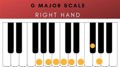 G MAJOR SCALE - FOR PIANO BEGINNERS - YouTube