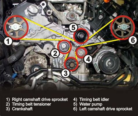 Timing Belt Boot Camp | Tom Dwyer Automotive