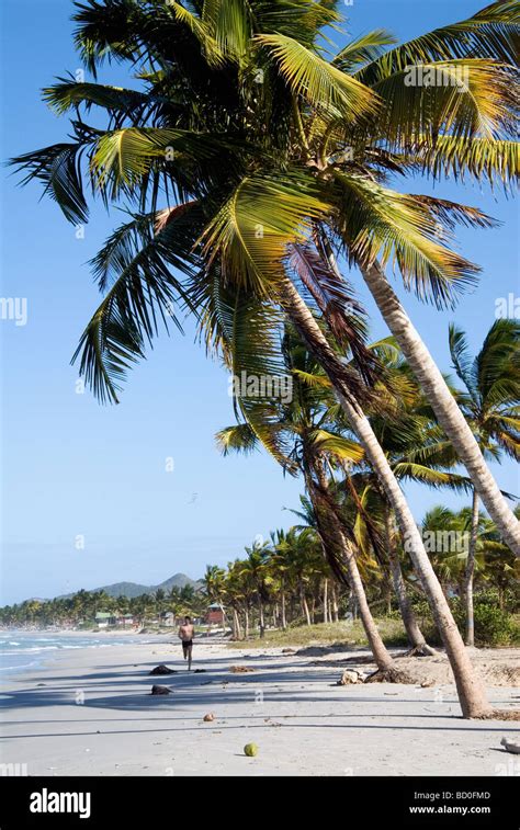 Playa El Agua on the island Isla de Margarita, Venezuela Stock Photo ...