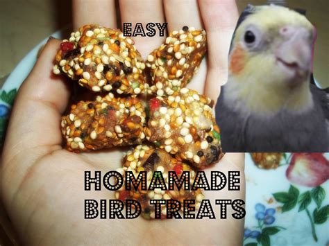 DIY Easy Bird Treats | Bird treats, Homemade bird toys, Diy bird toys