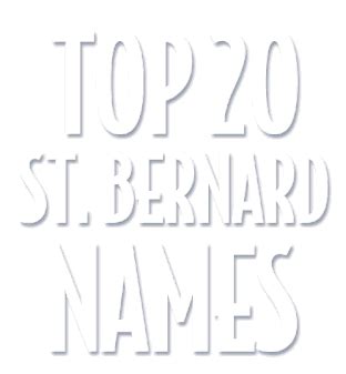 Top Saint Bernard Names | Activities | Santa's North Pole