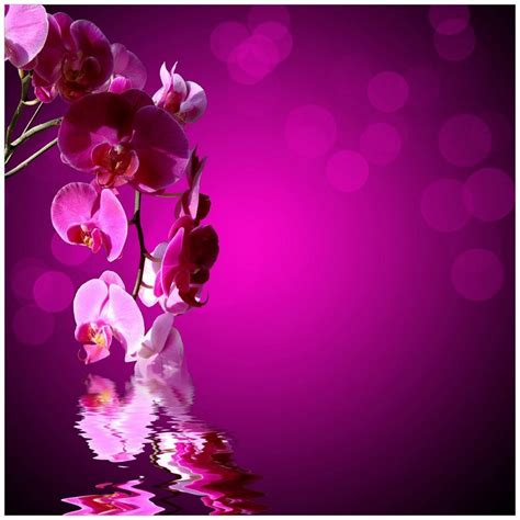 Wallario Tischplatte Rosafarbene Orchidee Blüten in pink (1 St), für Ikea Lack Tisch geeignet