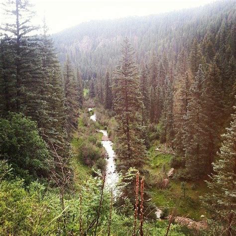 Jemez Mountains, New Mexico oh the summers camping there! | New mexico ...