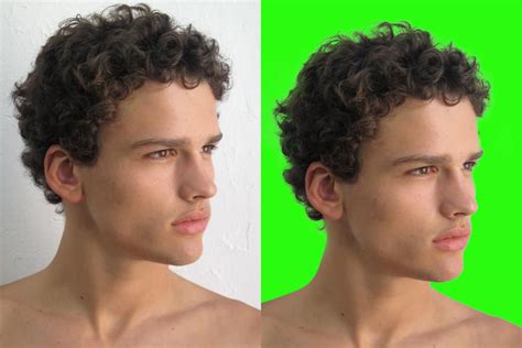 Background Remove By Hair Masking In Adobe Photoshop on Behance