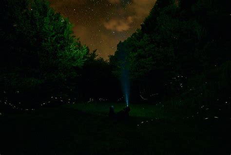 6/12/18 Update: Synchronous Fireflies In The Smoky Mountains