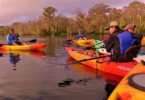 Manatee Kayak Tours Blue Springs State Park - Florida Kayaking Tours