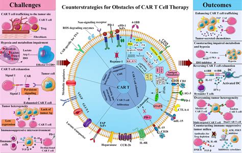 Frontiers | The current landscape of CAR T-cell therapy for solid tumors: Mechanisms, research ...