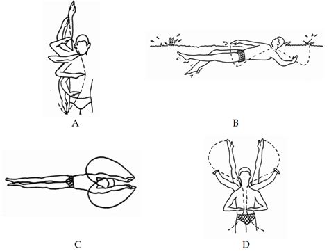 Biomechanics of Competitive Swimming Strokes | IntechOpen