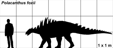 Polacanthus - Dinosaurussen