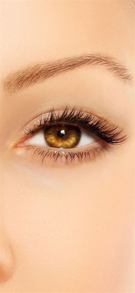 Hazel Eyes - Contact Lenses UK | Buy Online | Hazel eye contacts, Hazel eyes, Eye contact lenses