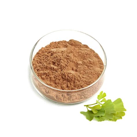 Ginkgo Biloba Extract Powder – Chemcohealth