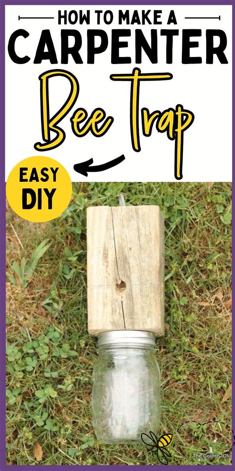 Learn how to make your own carpenter bee trap | Carpenter bee trap, Bee ...