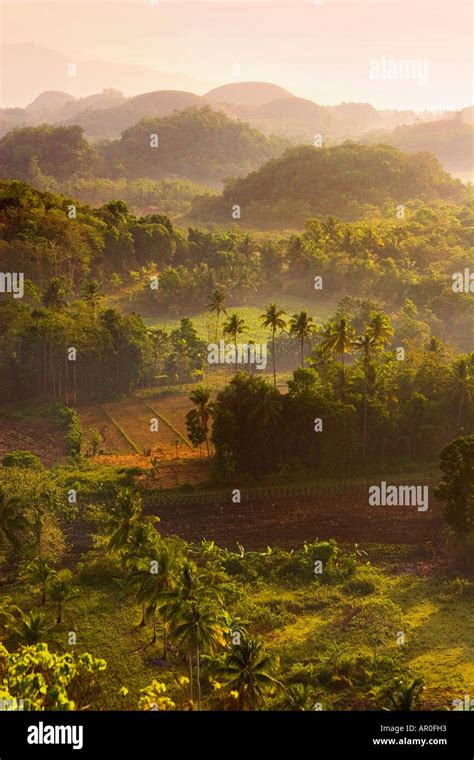 Sunrise over the Chocolate Hills Bohol The Philippines Stock Photo - Alamy