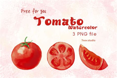 Tomato Watercolor Graphic by 7nov.studio · Creative Fabrica