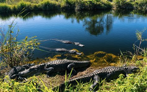 best hikes in the Everglades Florida