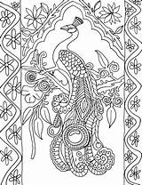 Coloring Pages Book Printable Adult Color Colouring Books Printables Adults Peacock World Peacocks Feather Patterns Coloringme Via Can Bing sketch template