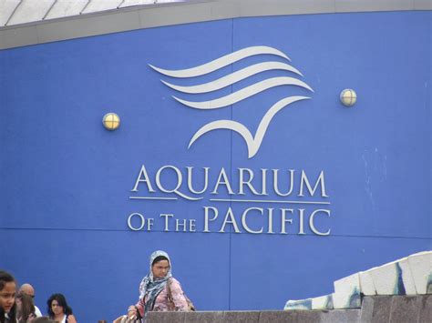 Making Time: Long Beach Aquarium of the Pacific