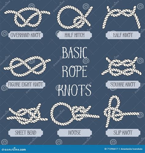 Set of Nautical Rope Knots. Stock Vector - Illustration of icon, equipment: 71396617