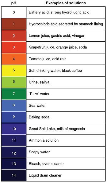 Ph Scale Examples