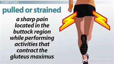 Gluteus Maximus Injury & Pain: Symptoms & Treatment - Video & Lesson ...