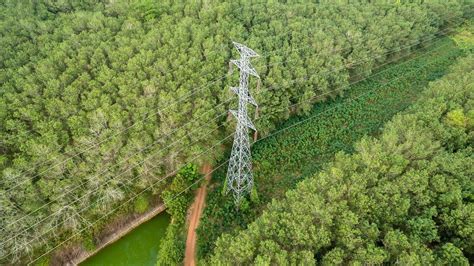 Rethinking Vegetation Management on Electric Utility Corridors ...