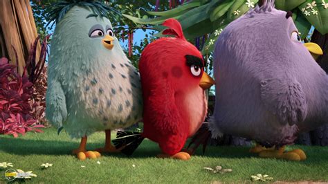 angry birds movie HD wallpapers, backgrounds