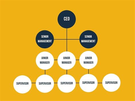 Hierarchical Structure: Definitions and Examples