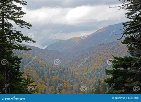 Fall Starts in the Great Smoky Mountains. Stock Photo - Image of yellow, colors: 72374958