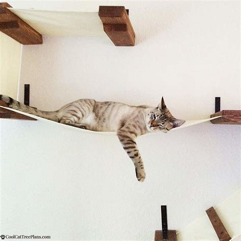 A good sized, double decker cat wall shelf for your cats to lounge and play on. It's not going ...