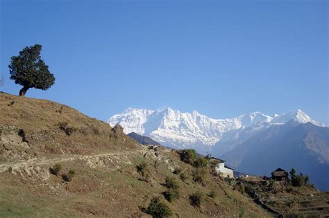 Dhaulagiri Base Camp Trek | Experience Lifetime Trekking in Nepal