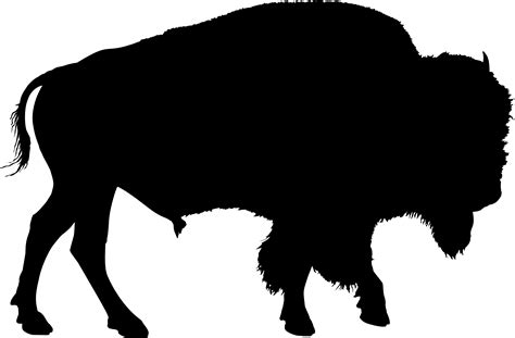 Buffalo Silhouette Clipart | Free download on ClipArtMag